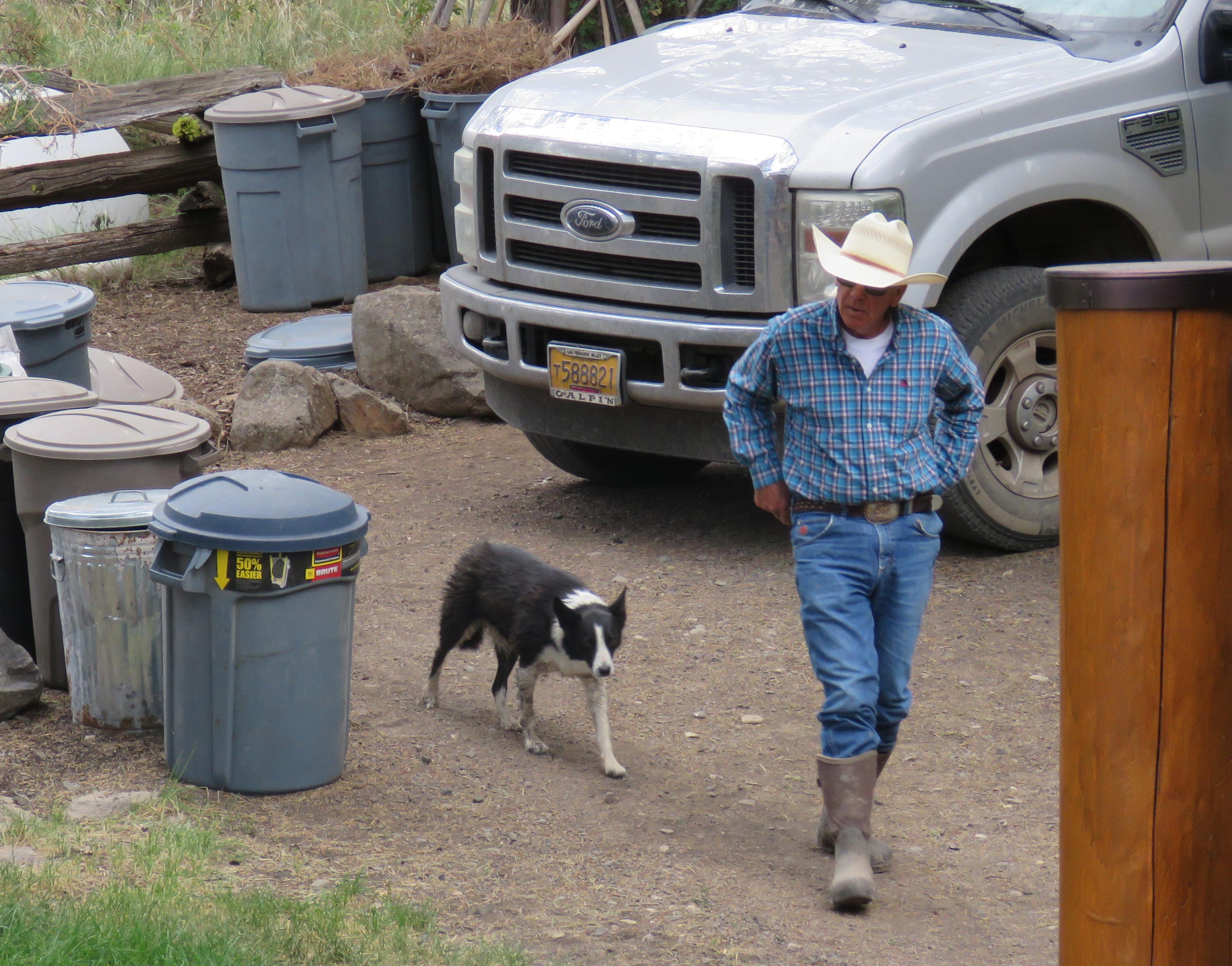 Bee the ever-faithful border collie follows Steve back to the lodge.