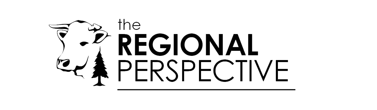 the regional perspective - logo